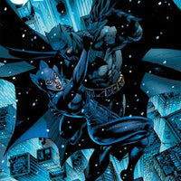 Batman Catwoman #1 Cvr B 2020