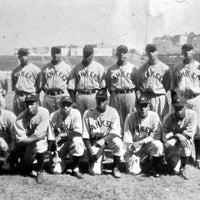 New York Black Yankees Negro Leagues 59fifty 2 tone Cardinal Chrome